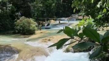 A natural landscape with a flowing river, surrounded by dense greenery and trees.