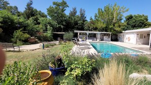 Un jardin avec une piscine, un patio couvert et un petit bâtiment où se trouve une bouée de sauvetage.