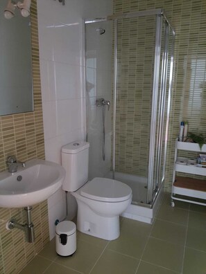 Chuveiro, secador de cabelo, toalhas de banho, sabonete