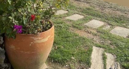 Relax and calm w/ wide space in it and deep meditation