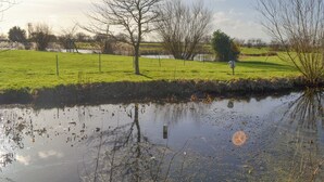 A tranquil pond with reflections, surrounded by a grassy field and trees. - 1 bedroom accommodation in Mablethorpe (Mablethorpe)
