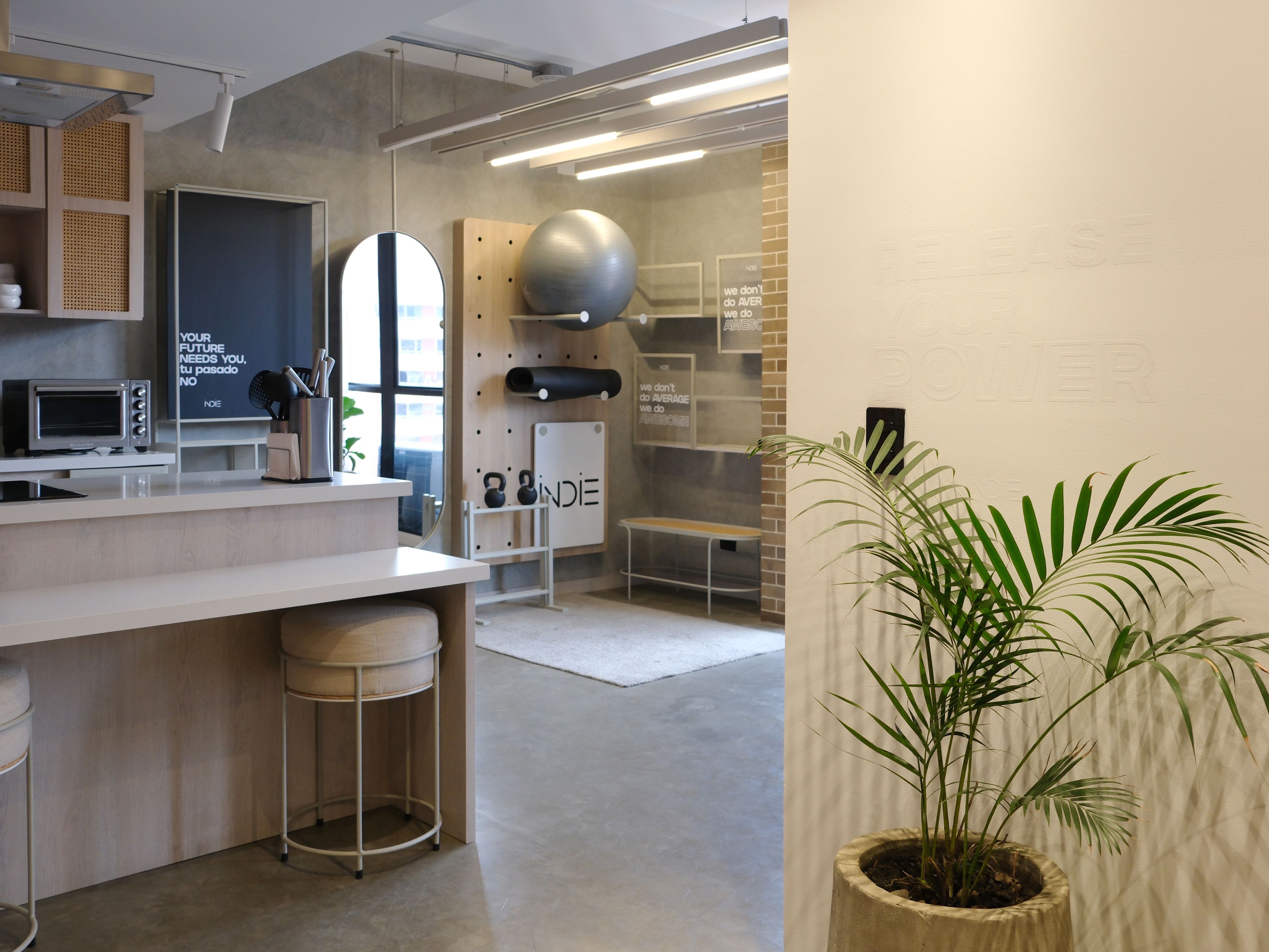 Een moderne keuken met een inbouwoven, een spoelbak en een aanrecht. Aan de rechterkant staat een plant.