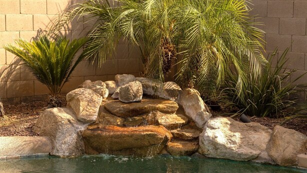 Zona de piscina amb roques i plantes de palmera.