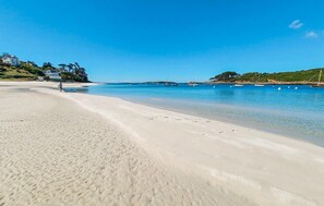 Playa en los alrededores y pesca 
