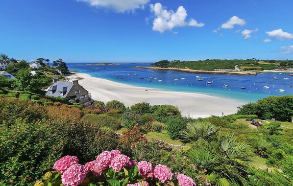Playa en los alrededores y pesca 