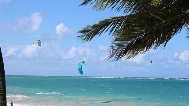 Una playa con cielos despejados, palmeras y gente practicando deportes acuáticos.