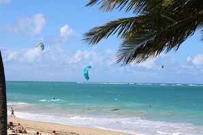 Une plage avec un ciel dégagé, des palmiers et des gens qui pratiquent des activités nautiques.