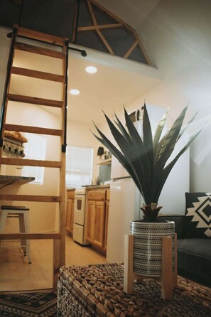 A cozy living room with a wooden ladder, a large potted plant, and a woven rug.