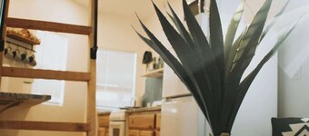 Agave Tiny House@Cactus Flower+HOT TUB+No Pet Fee!