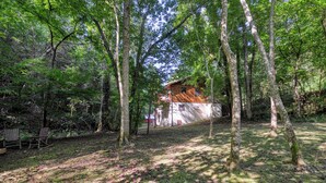 A rustic cabin surrounded by a dense forest. - Private - Spacious- Creek Lined Cabin  (Cosby)