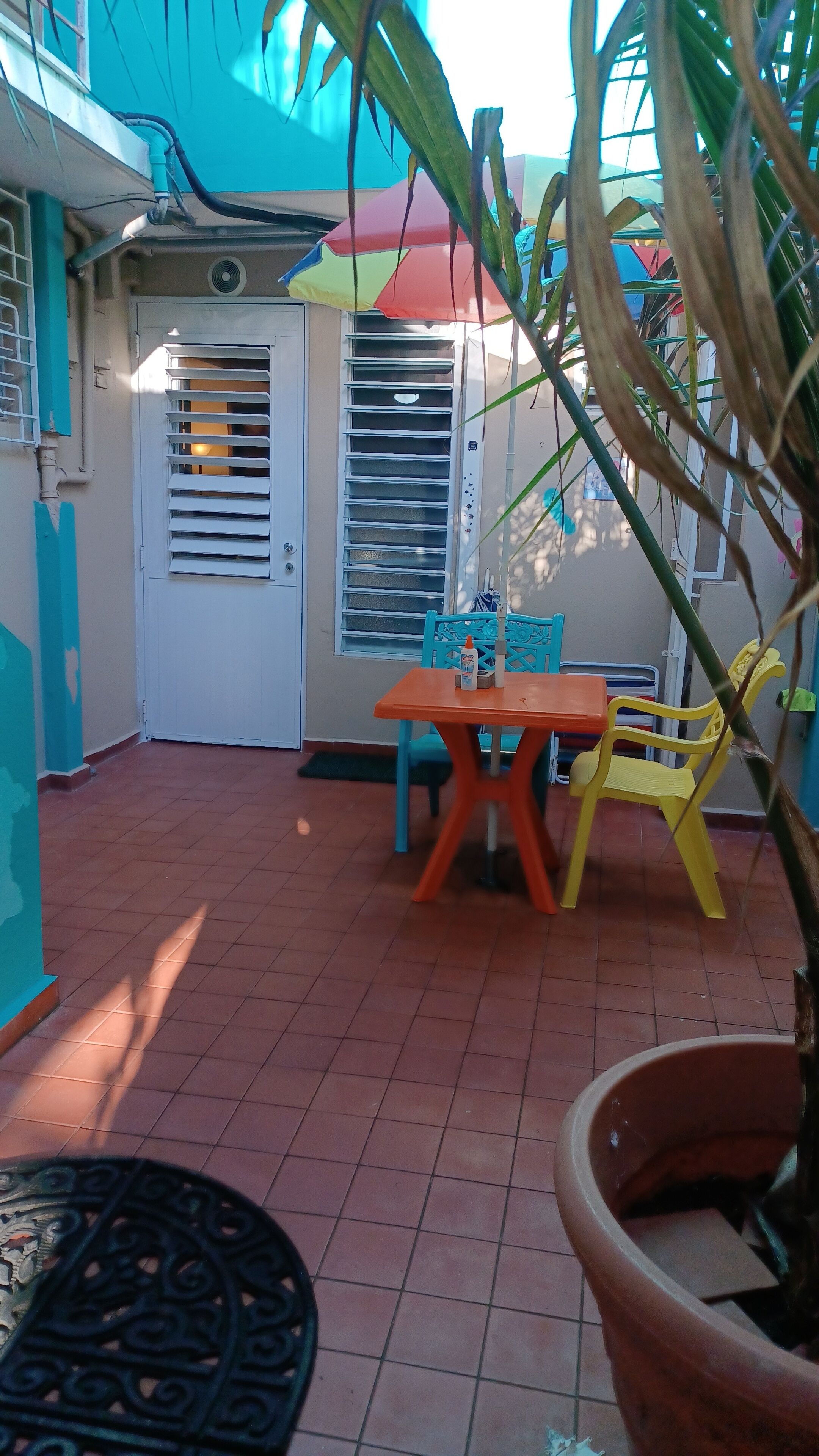 Un espace patio avec une table et des chaises, une porte avec une fenêtre et une plante en pot.
