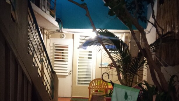 Eine Treppe führt zu einer Tür mit einem Fenster, einem Blumentopf und einem Stuhl.