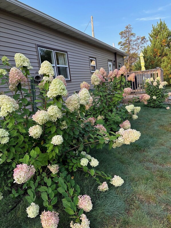 Áreas de la propiedad