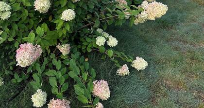 Remodeled, cozy, pet friendly cabin near lakes