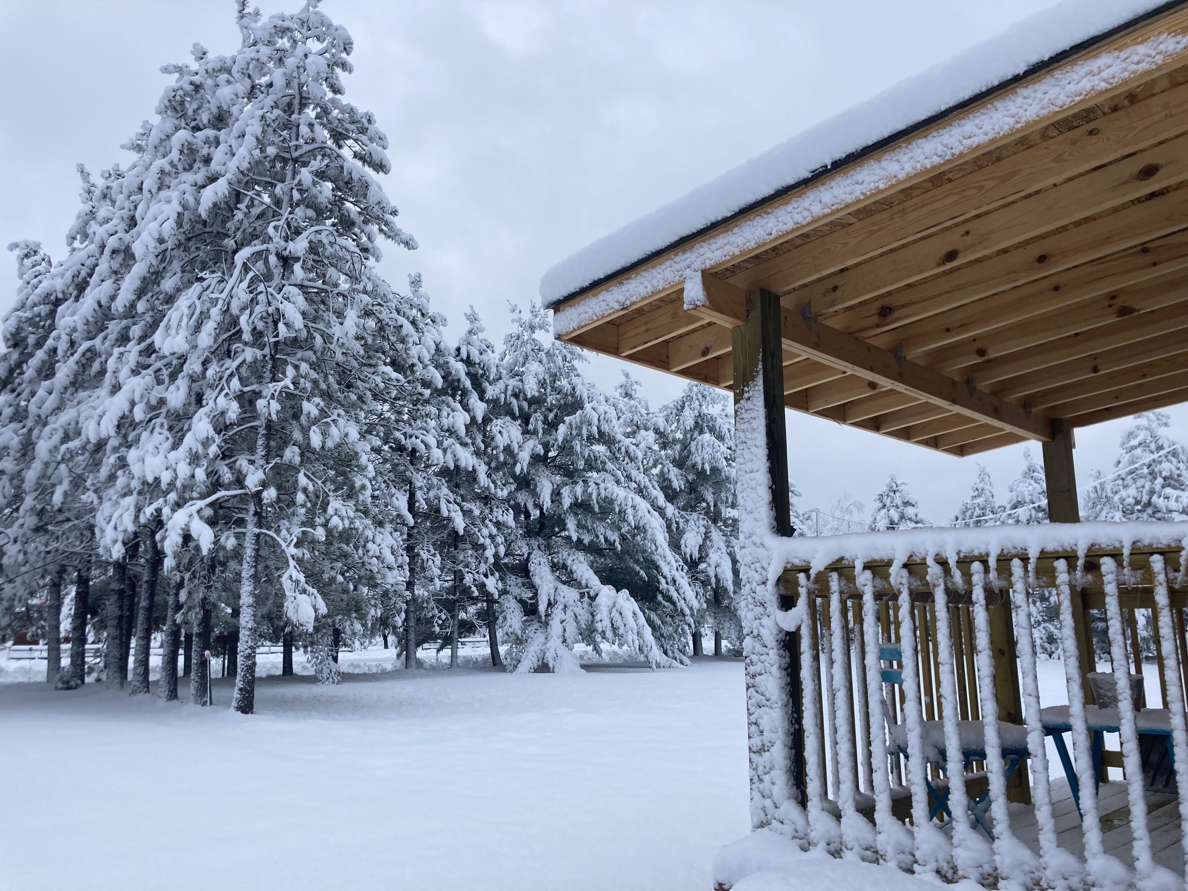Áreas de la propiedad