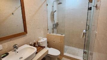 Sèche-cheveux, serviettes fournies, savon, shampoing