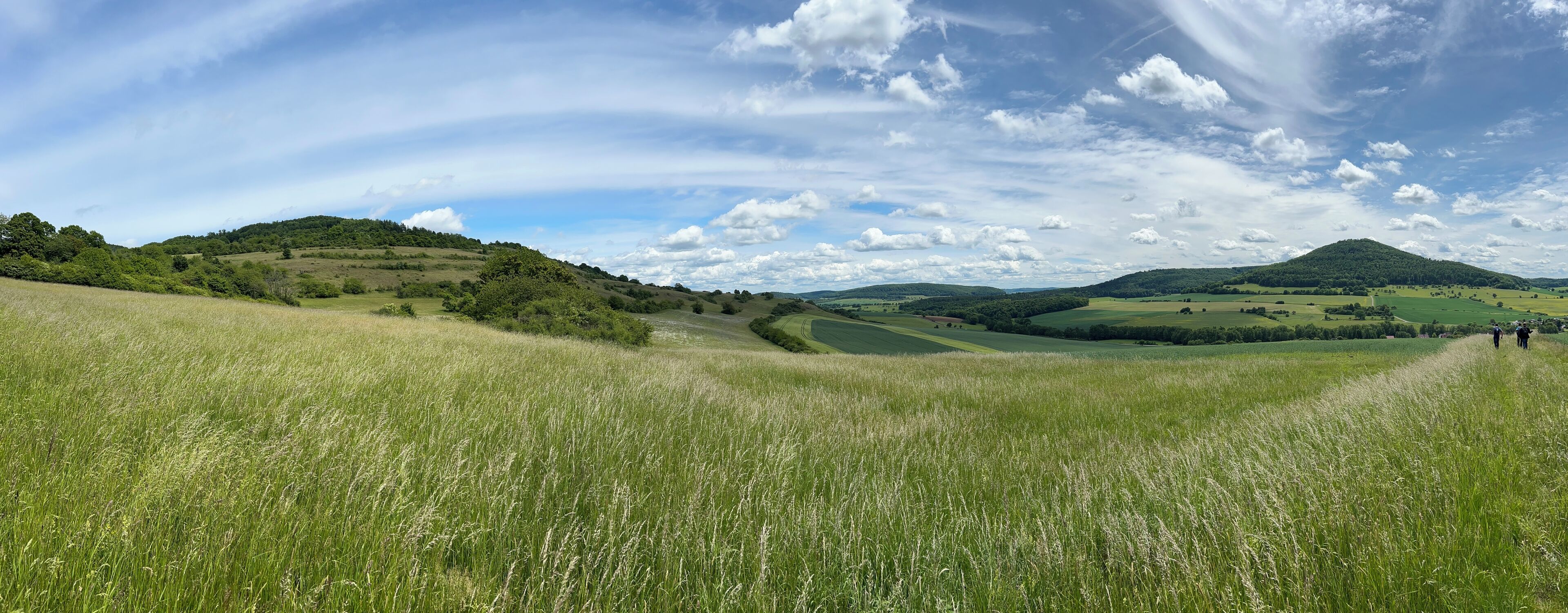 Une vue panoramique d’un champ verdoyant, avec des collines ondoyantes et un ciel dégagé.