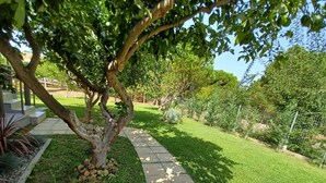 Un jardín bien cuidado con un sendero curvo, varios árboles y un césped impecable.