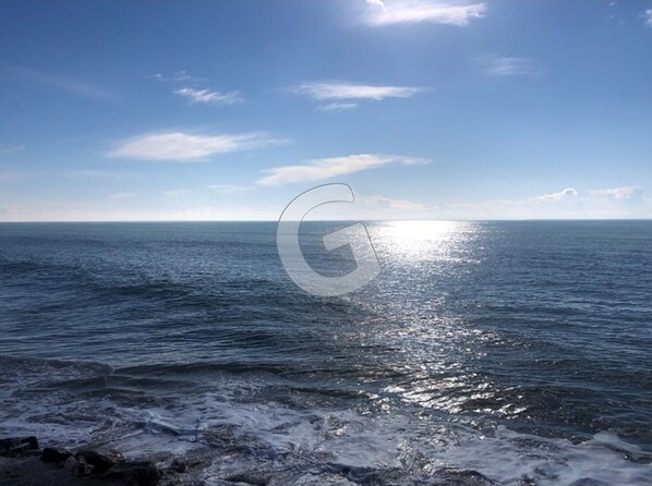 Nära stranden
