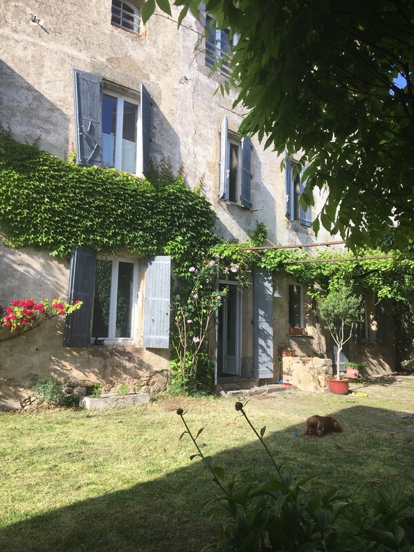 A rustic building with ivy-covered walls, a small garden with a lawn, and a tree.