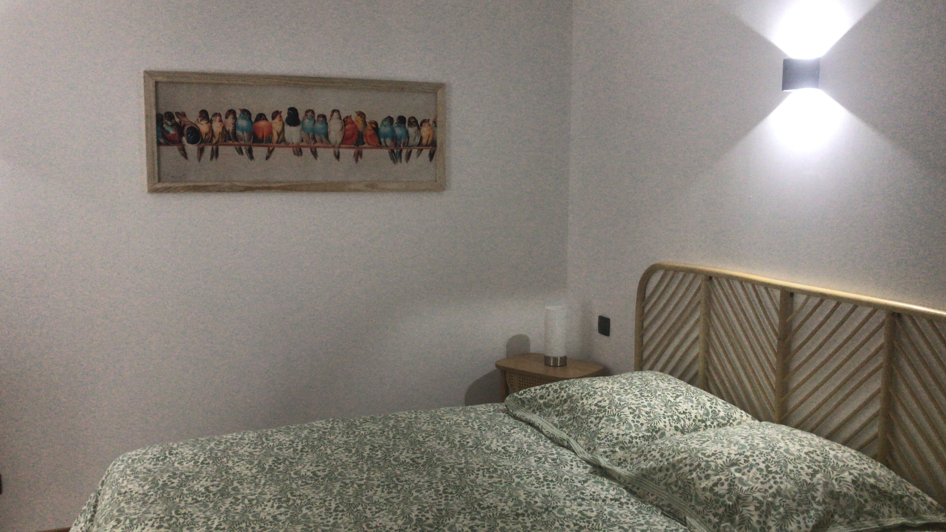 A bedroom with a bed, a nightstand, a wall-mounted light, and a framed picture of birds.