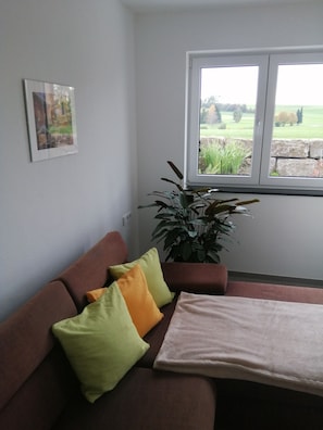 Een woonkamer met een bruine bank, groene en gele kussens, een potplant en een raam met uitzicht op een groen veld.