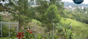 La Cigarra Salento
