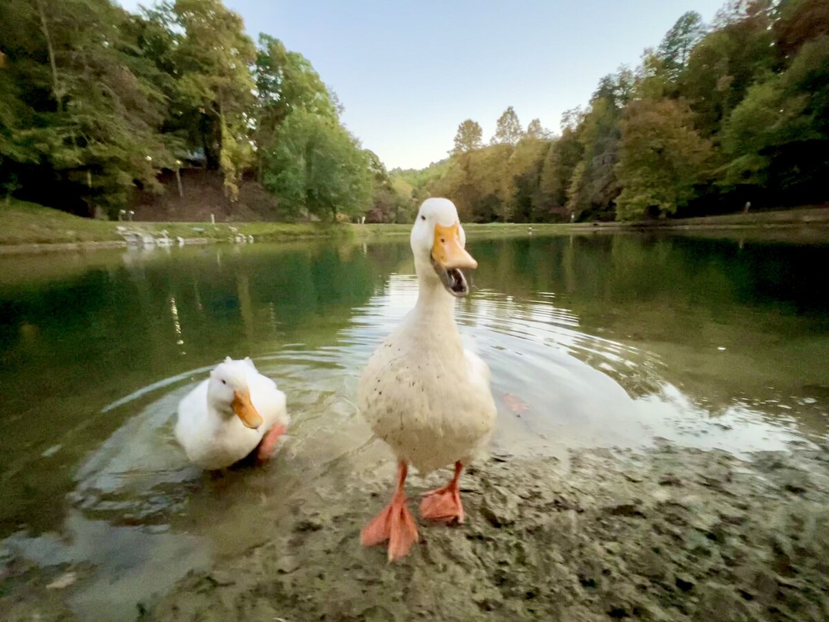 Imagem do perfil do anfitrião