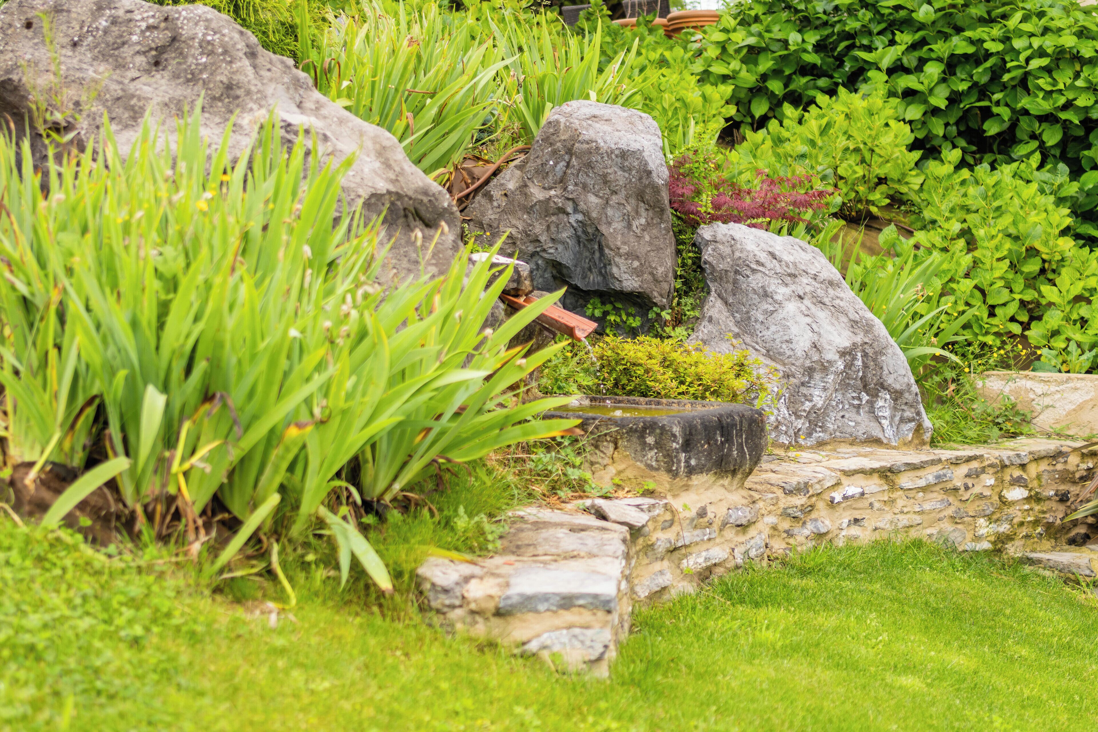 A garden with large rocks, green plants, and a stone wall.