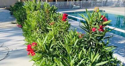 Batisdon de St Rémy de Provence