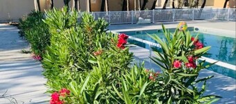 Batisdon de St Rémy de Provence