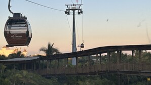 A cable car labeled "SkyDream" at a station with a view of a bridge and surrounding greenery.