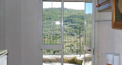 Four - Miguel Apartment with panoramic view, among olive trees, sea 15 km away