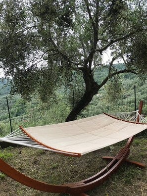 Property grounds - Four - Miguel Apartment with panoramic view, among olive trees, sea 15 km away (Villa Viani)