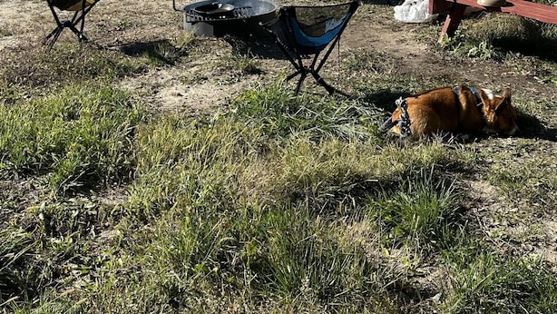A tent set up near a lake with camping chairs and a grill.