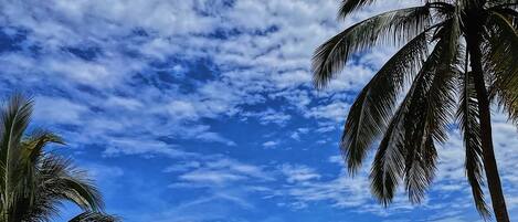 Alberca al aire libre y alberca climatizada