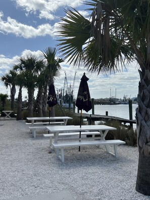 Enjoy waterfront dining with picnic tables and umbrellas under the shade of palm trees.