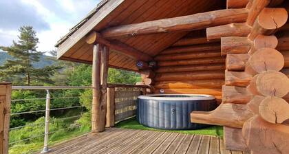 Traditional log cabin with Jacuzzi and wooded garden in the Cévennes