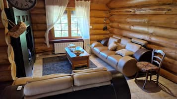 TV, fireplace, video games, DVD player