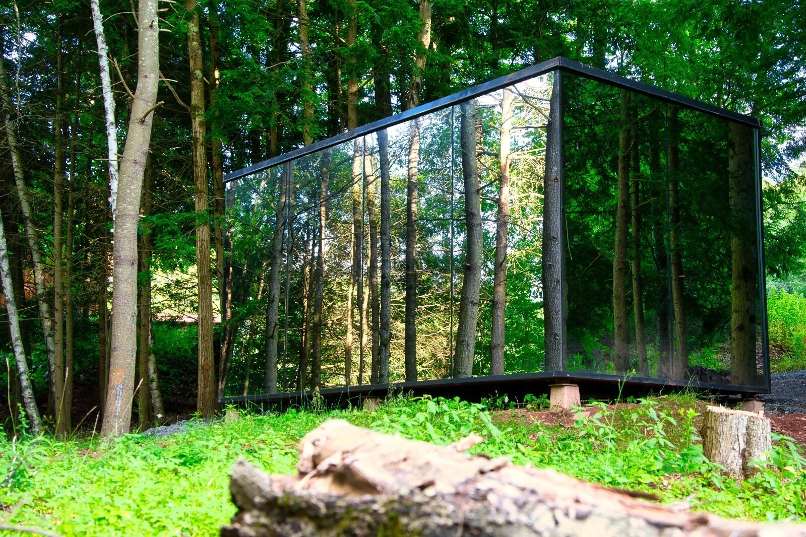 A modern, rectangular glass structure in a forested area with a natural setting.