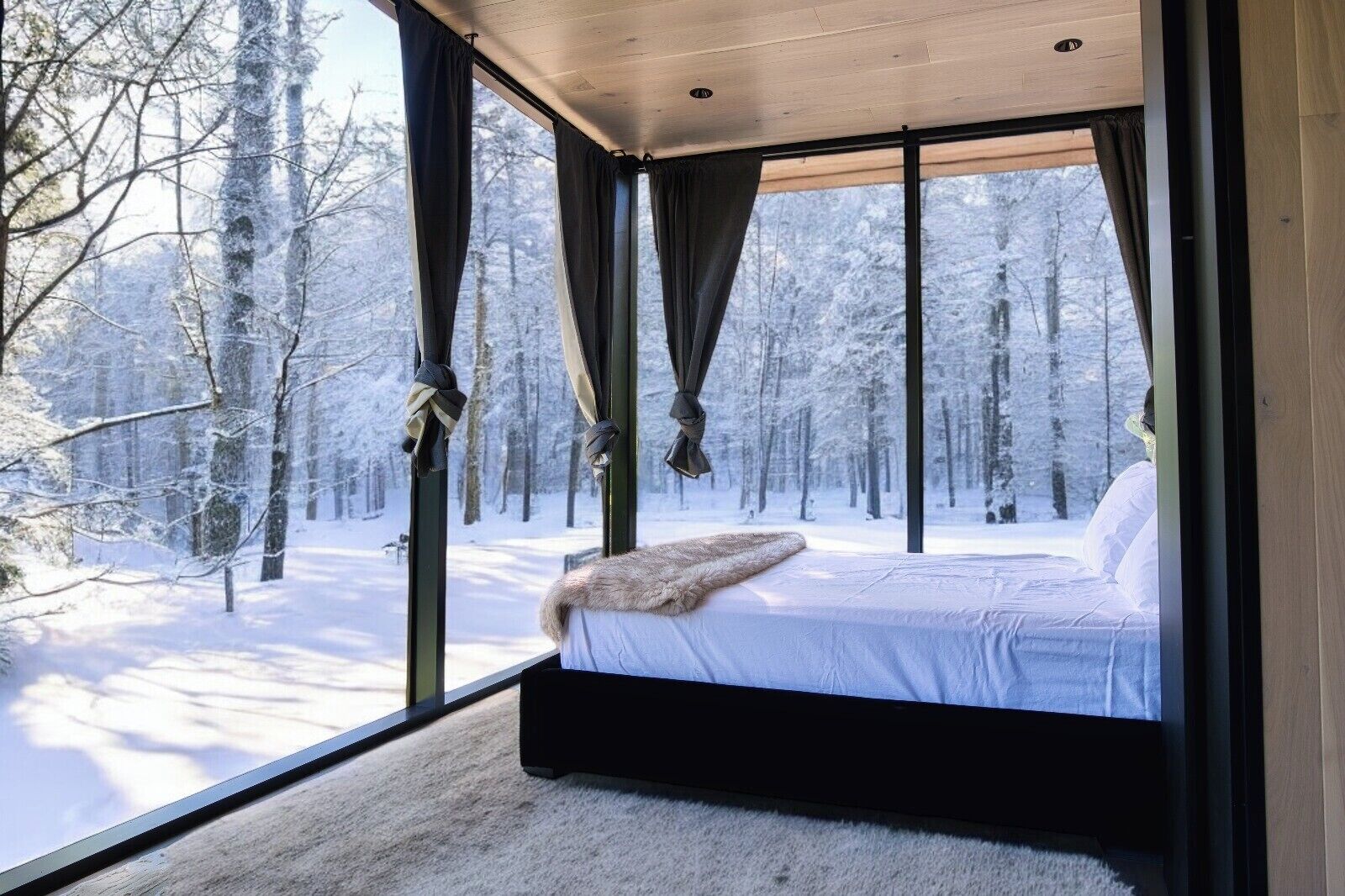 Premium bedding, down comforters, memory foam beds, free WiFi