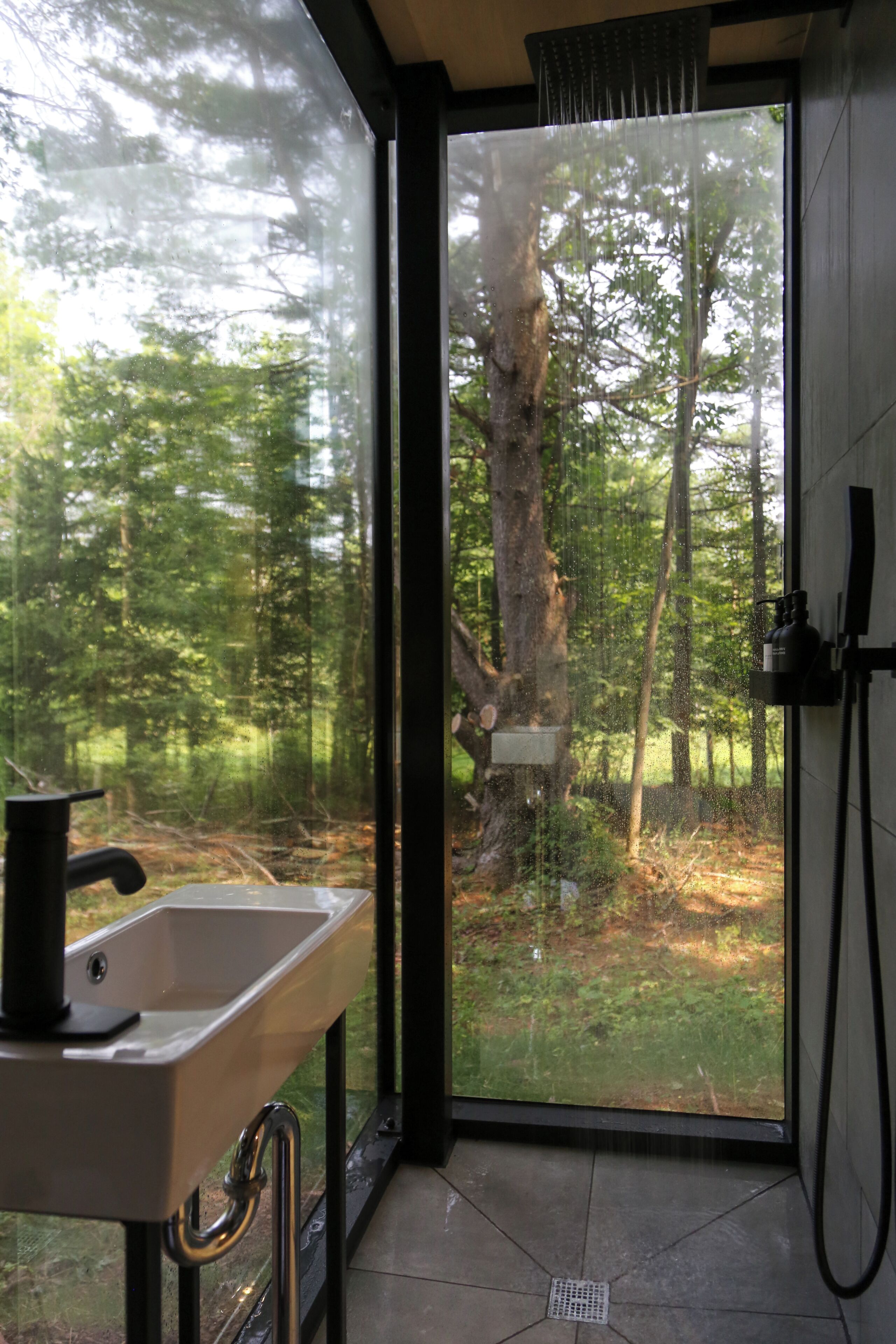 Un baño con lavamanos, ducha y vista a un bosque a través de una puerta de cristal.