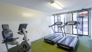 Ein Fitnessraum mit Laufbändern, Crosstrainern und einem Ergometer.