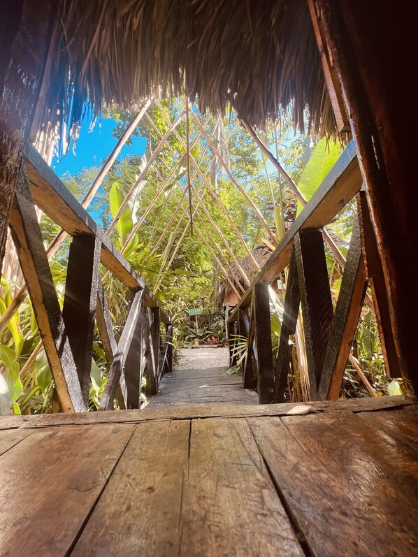 スタンダード ツリーハウス