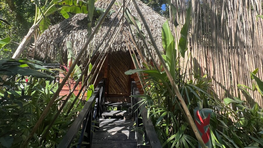 Sámana tropical