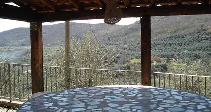 Six - Accommodation under pool with panoramic view, among olive trees, sea 15 km away