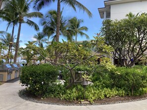 Property grounds - Westin Nanea Ocean Villas - Beautiful, spacious 2 bedroom resort view suite. (Lahaina)