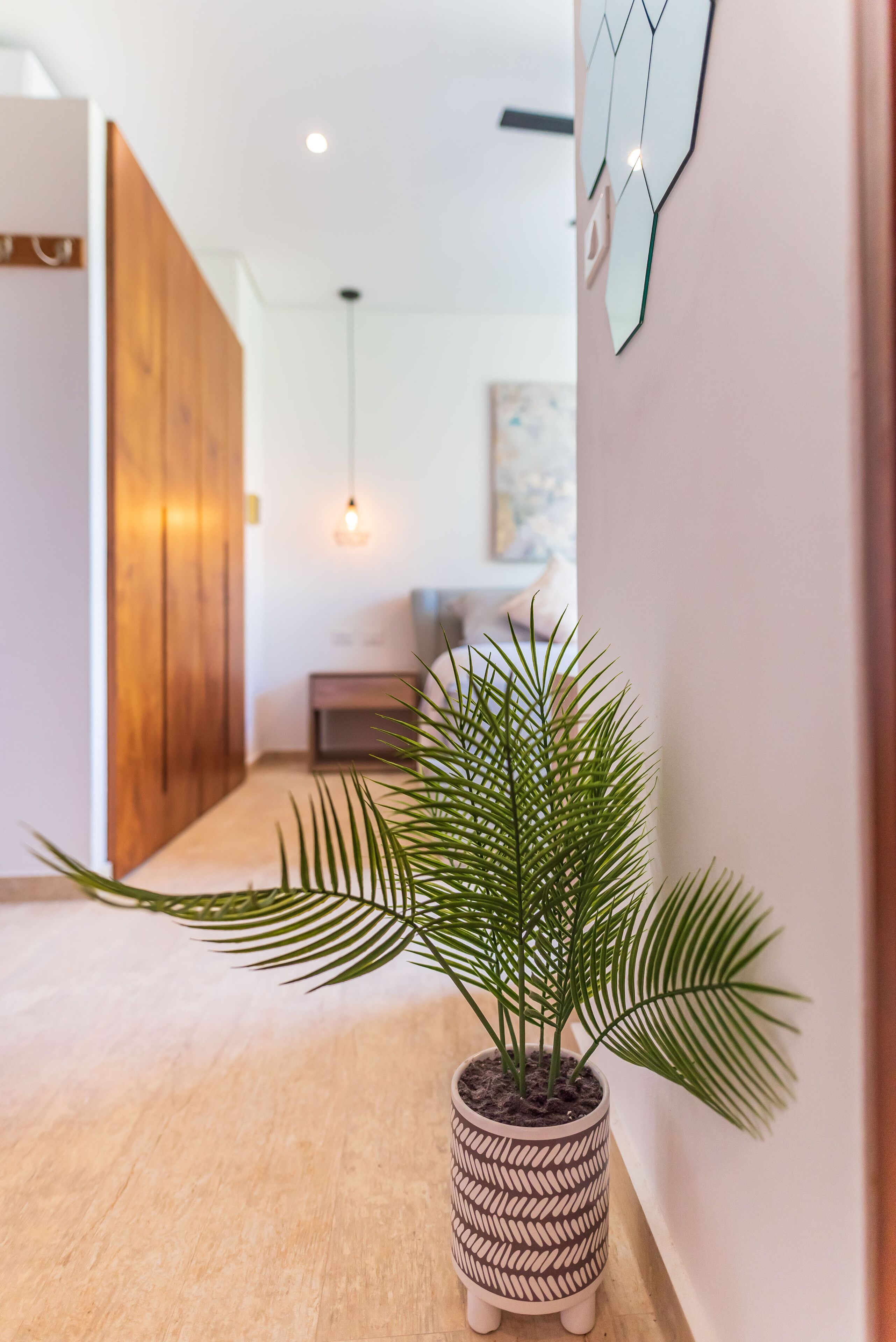 A hallway with a potted plant, wooden door, and a hanging light fixture.