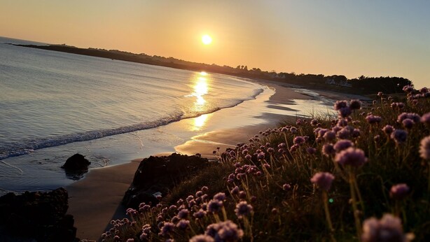 A beach scene with the sun setting over the water, a sandy shore, and purple flowers in the foreground.