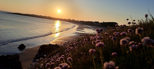 House 500m from the beach with SPA 6 people